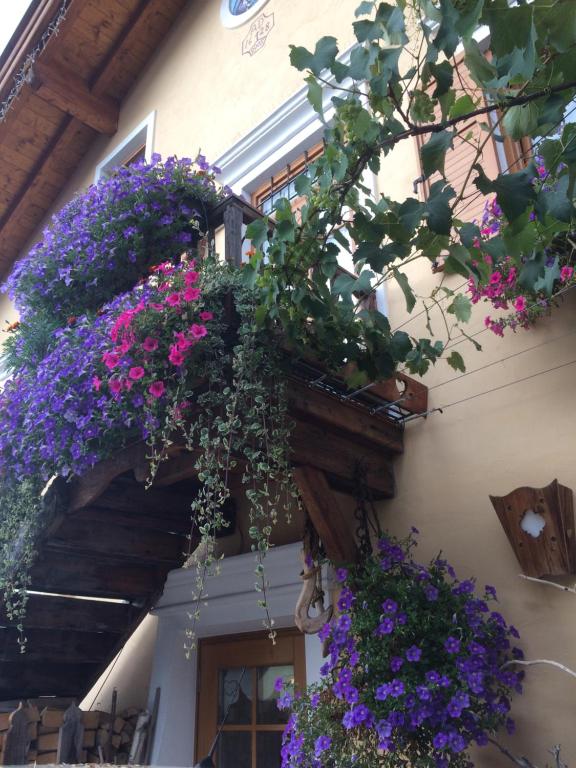 Zahrada ubytování Hotel Garnì Salvanel