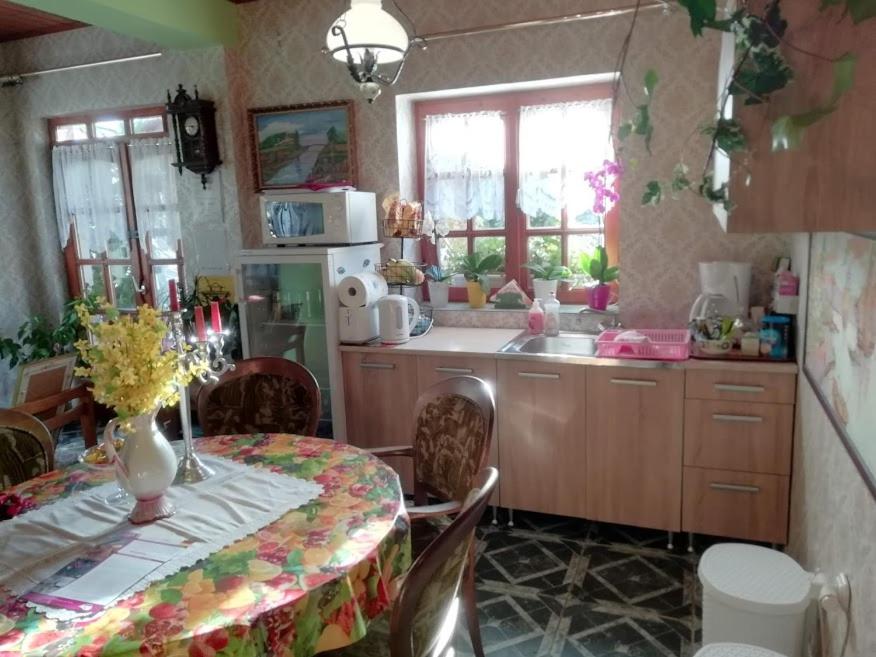 A kitchen or kitchenette at Ilona Kis Kastély Panzió