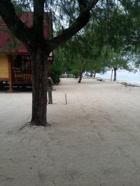 un árbol sentado en la arena junto a un edificio en Yaya Bungalows Blue Coral en Gili Meno