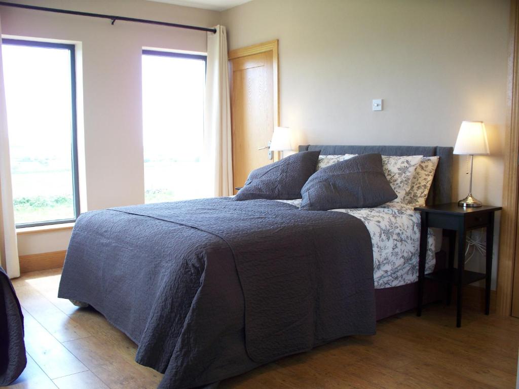 a bedroom with a bed with a blue blanket and two windows at Blackberry Lodge Accommodation in Doolin