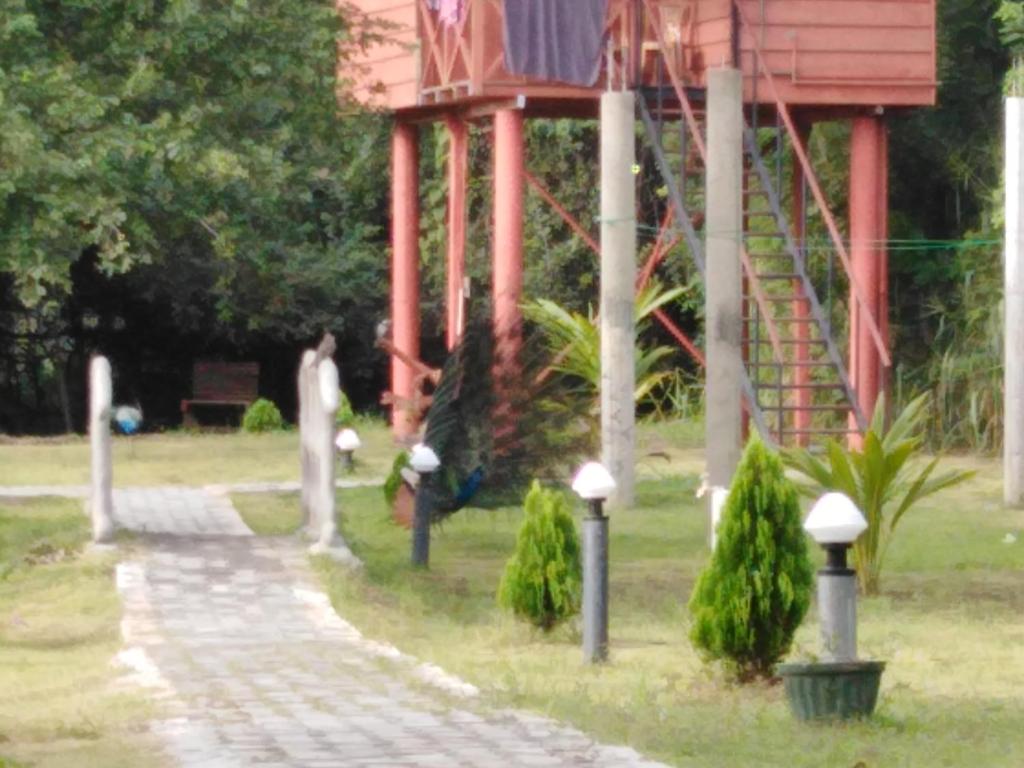 Zahrada ubytování Sigiri Royal Point Tree House