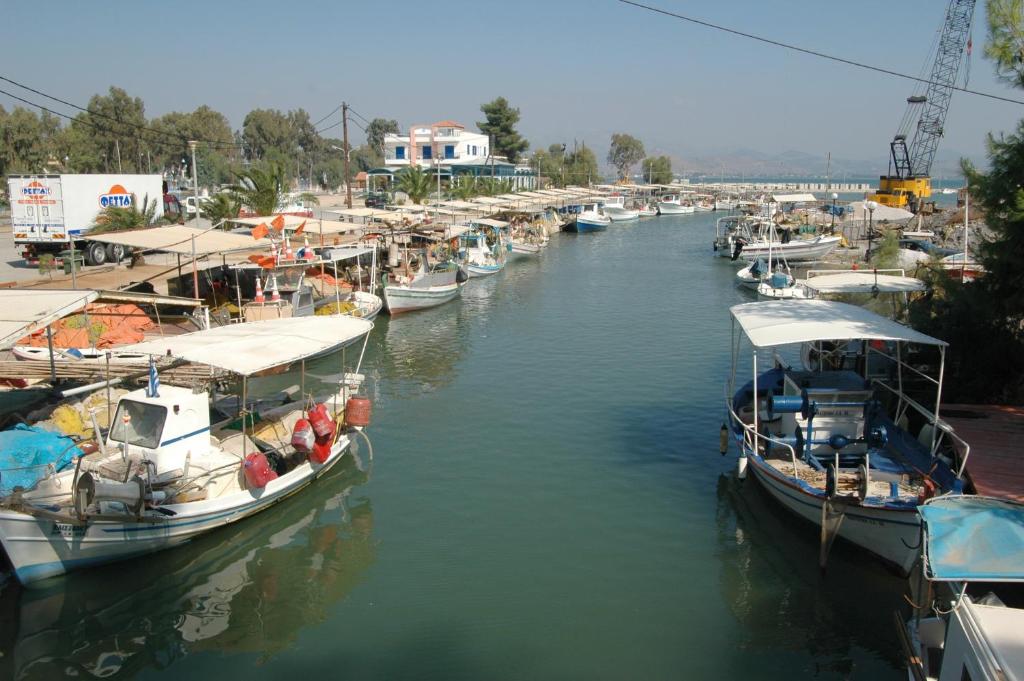 Ignatia Hotel - Resim 24