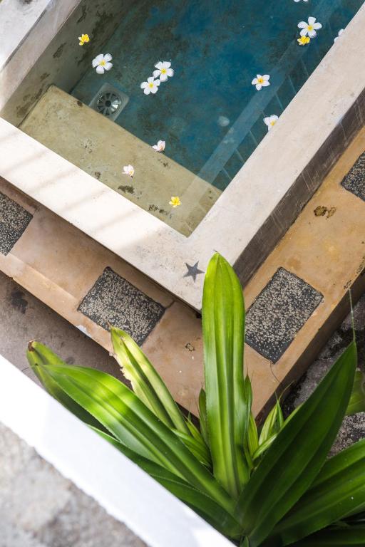 Villa White Queen Resort & Spa - 12