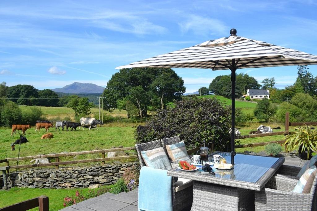 a table with an umbrella in a field with cows at Tryfan Cottage in Betws-y-coed