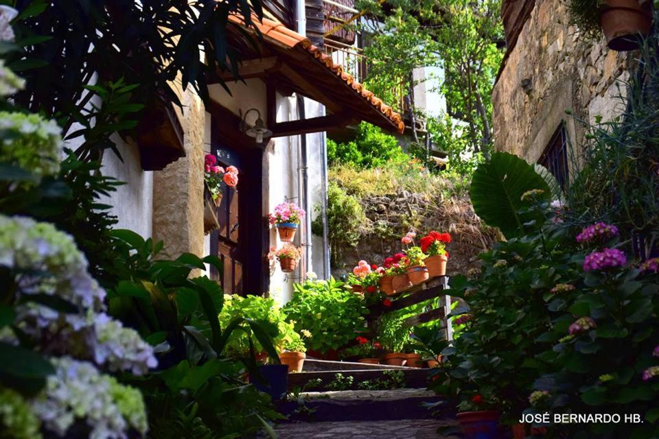 a garden with flowers and plants in front of a building at Casa Rural Amparo in Mogarraz