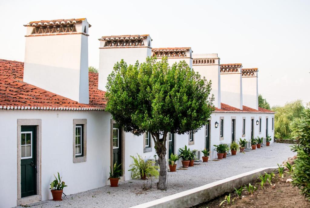 a row of white buildings with a tree in front at Casas da Piedade in Azinhaga