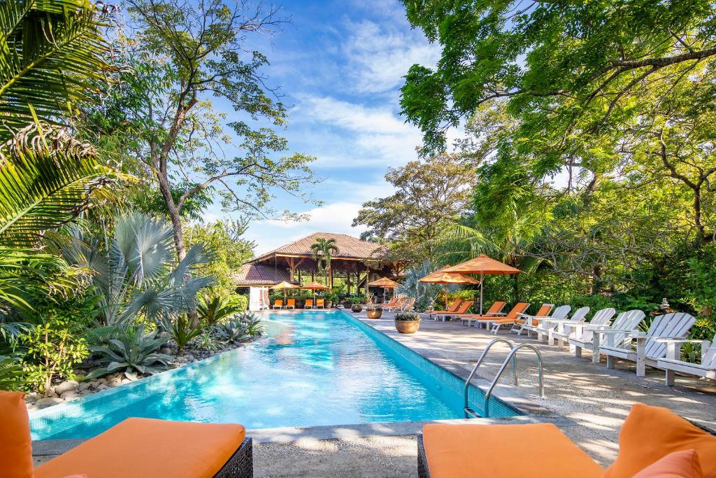 una piscina en un complejo con sillas y árboles en Bodhi Tree Yoga Resort en Nosara