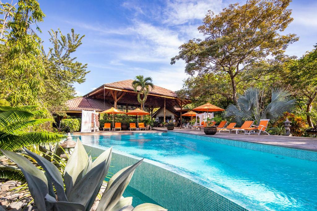 Bazén v ubytování Bodhi Tree Yoga Resort nebo v jeho okolí