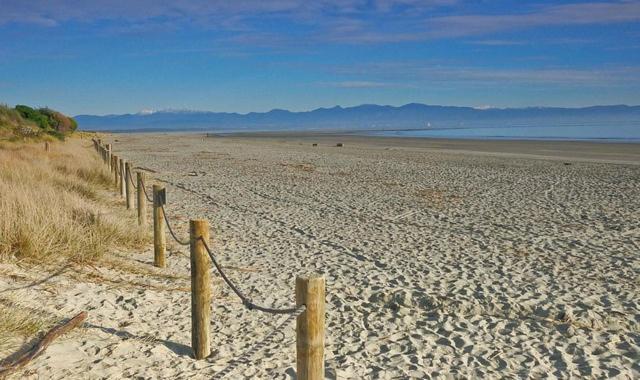 Morning Bloom Cottage Bed and Breakfast - Resim 14