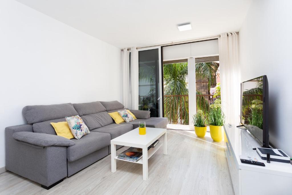 ein Wohnzimmer mit einem grauen Sofa und einem TV in der Unterkunft Monkey house in Santa Cruz de Tenerife