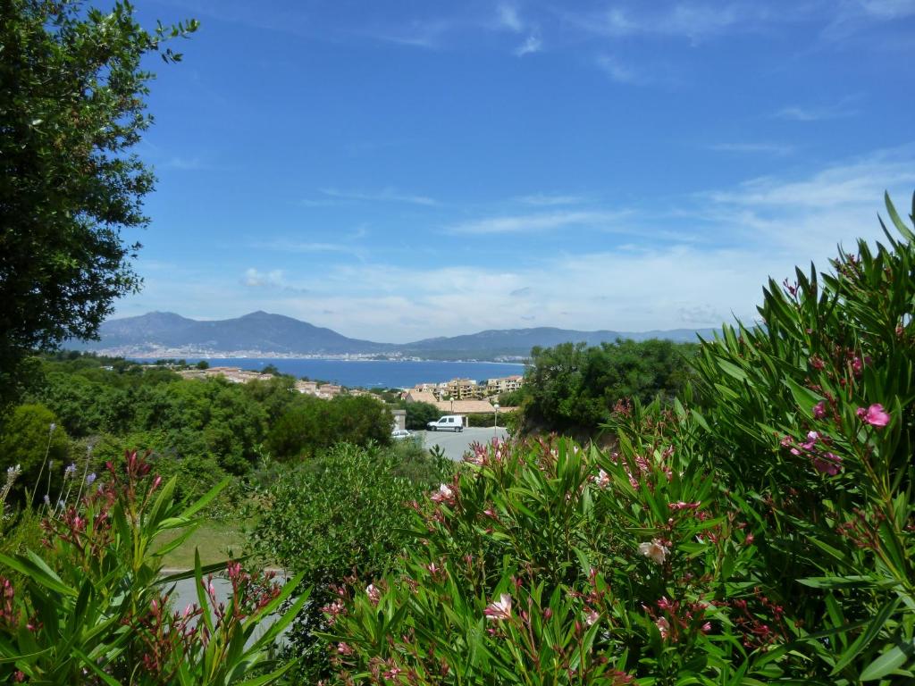 uma vista para o oceano a partir do jardim em mini-villa em Grosseto-Prugna