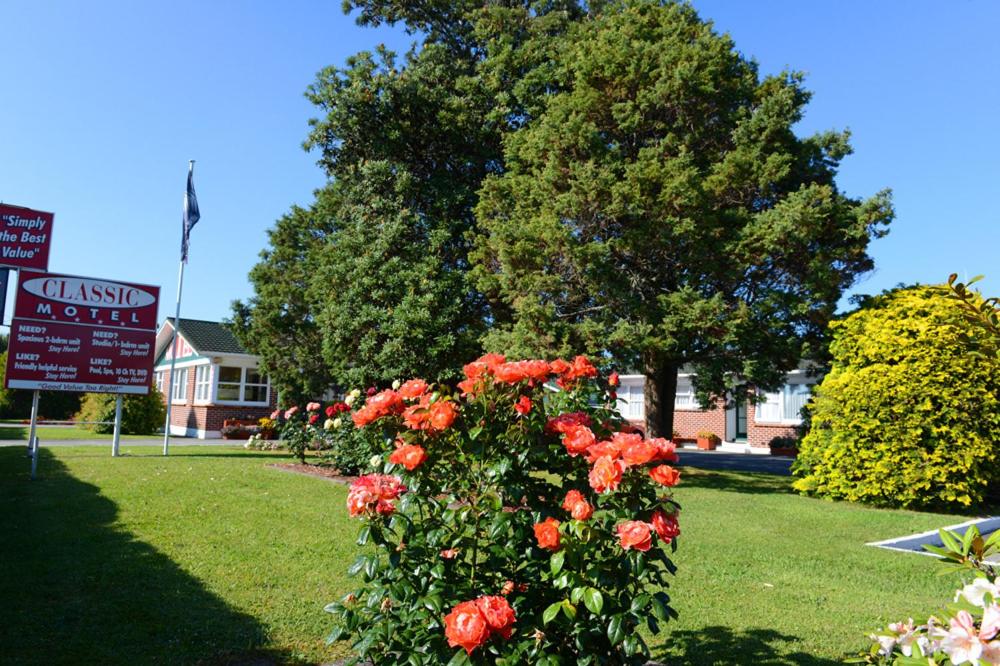 Classic Motel - Resim 5