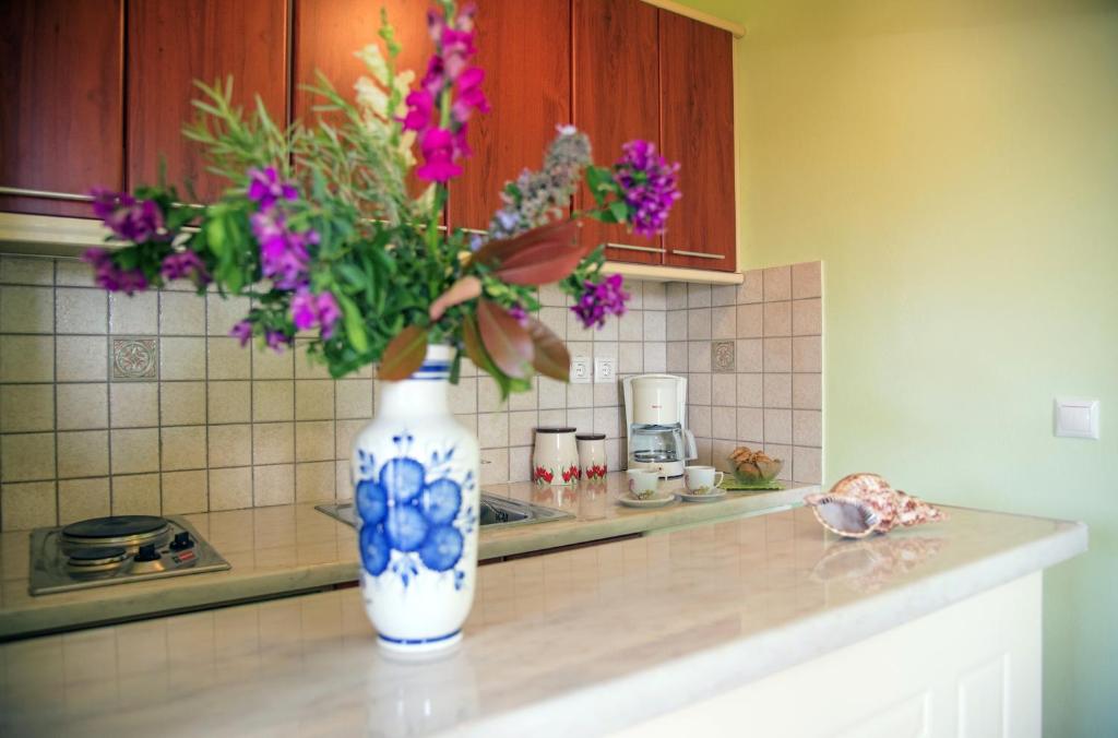 Kuchyň nebo kuchyňský kout v ubytování Vikentios Rooms