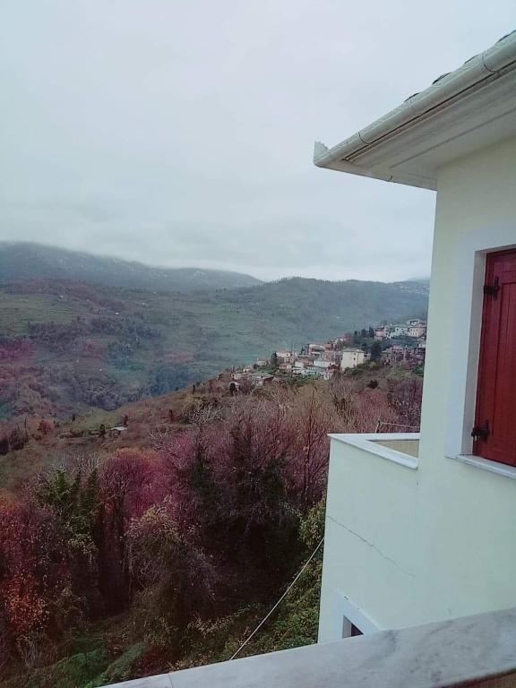 Příroda nedaleko hotelu