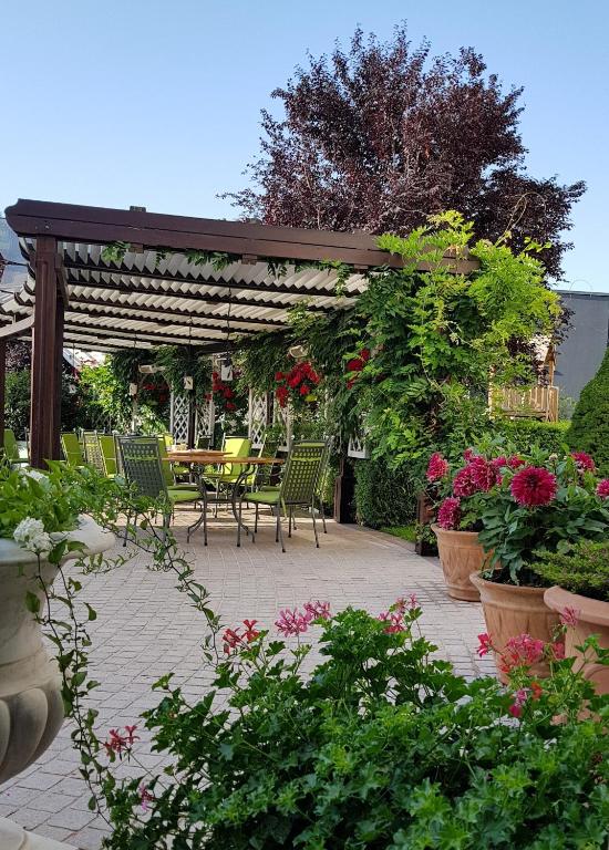 Zahrada ubytování Hotel Sonnenhof