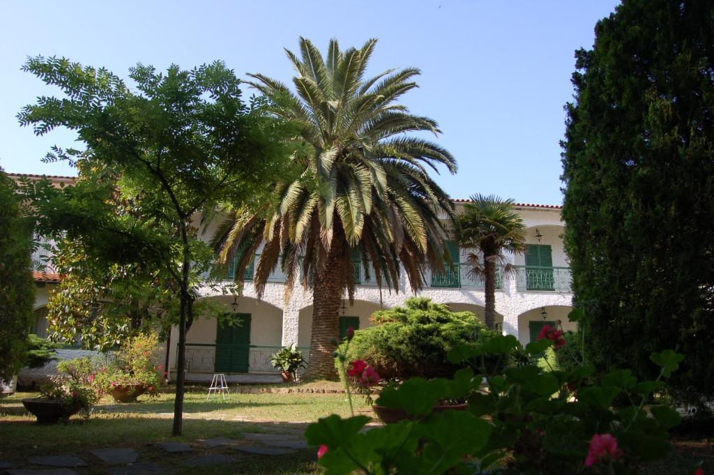 A garden outside Hotel Marelba