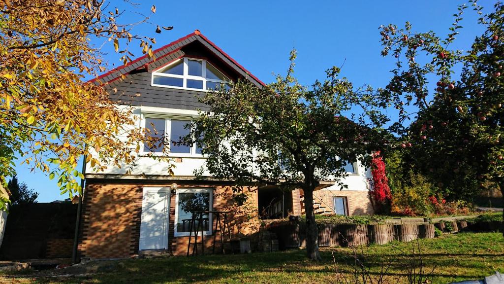 Zahrada ubytování Ferienhaus am Rehberg