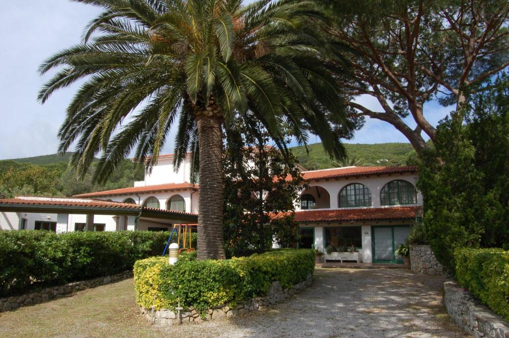 a palm tree in front of a house at Hotel Marelba in Cavo