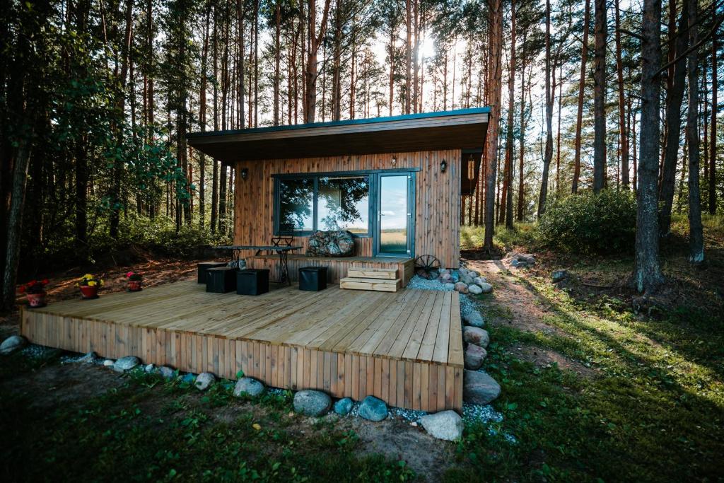 mały domek w środku lasu w obiekcie Brīvdienu namiņš w mieście Salacgrīva