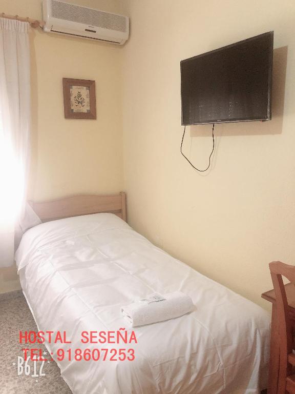 TV a/nebo společenská místnost v ubytování Hostal Seseña