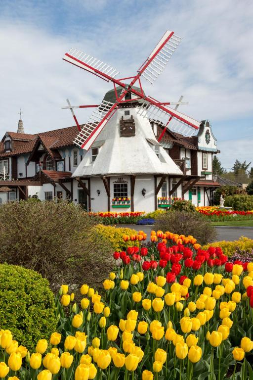 Zahrada ubytování Auld Holland Inn