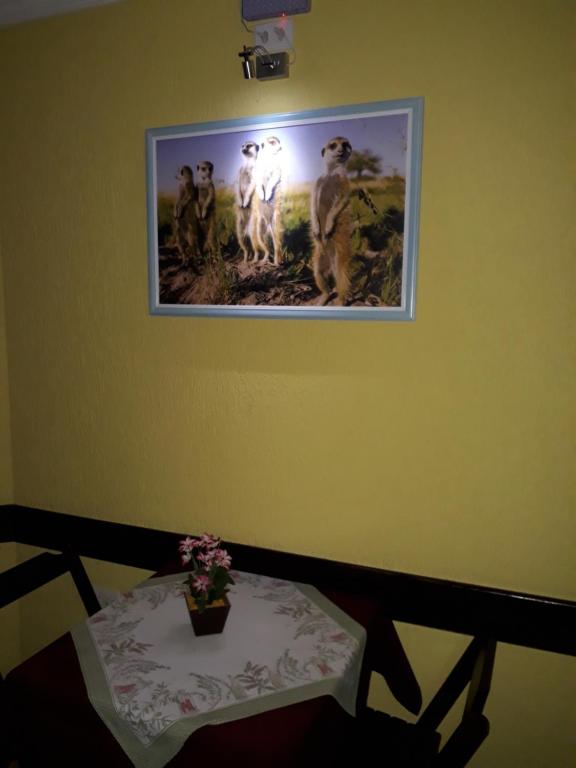  Pousada dos Suricatos