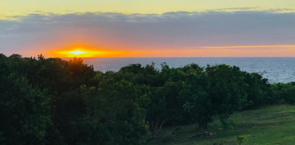 una puesta de sol sobre el océano con un grupo de árboles en Bungalow de charme vue mer, en Beauséjour