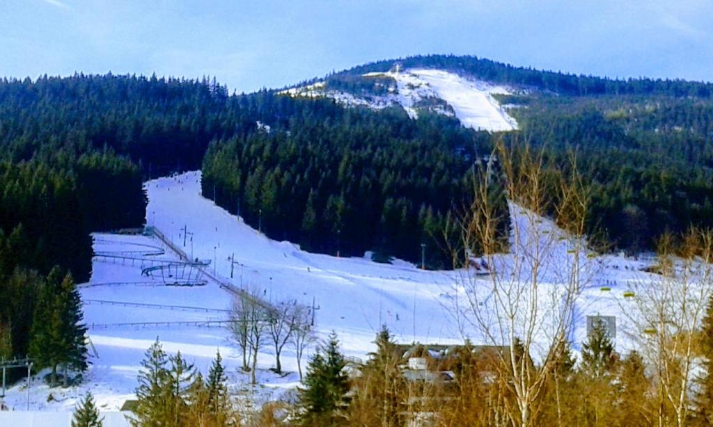 Gallery image of Gosciniec pod Wyciagiem in Stronie Śląskie