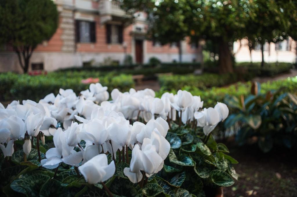 A garden outside The Roman Way San Giovanni