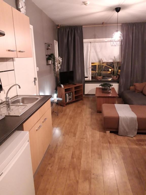 Kuchyň nebo kuchyňský kout v ubytování Hotel Velsen
