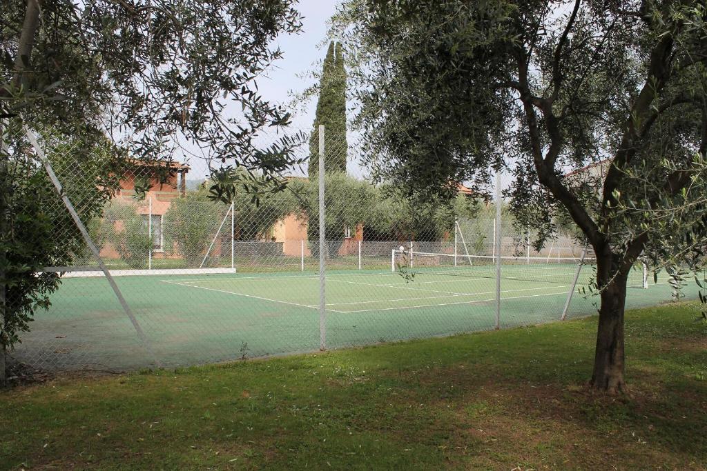 Tenis a/nebo squash v ubytování Domaine Le Clos des Oliviers nebo okolí