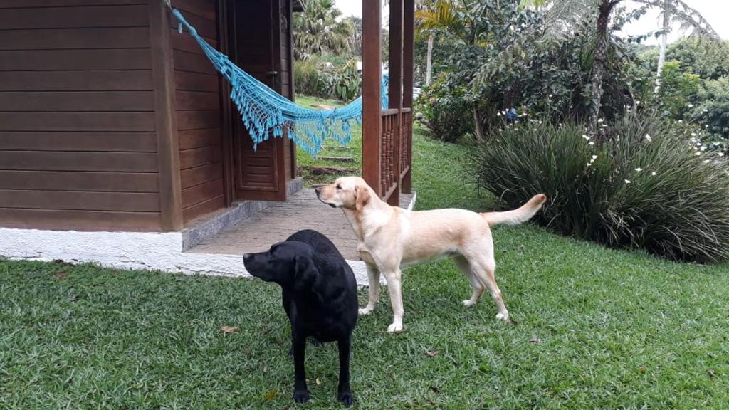  Pousada Recanto dos Pinheiros
