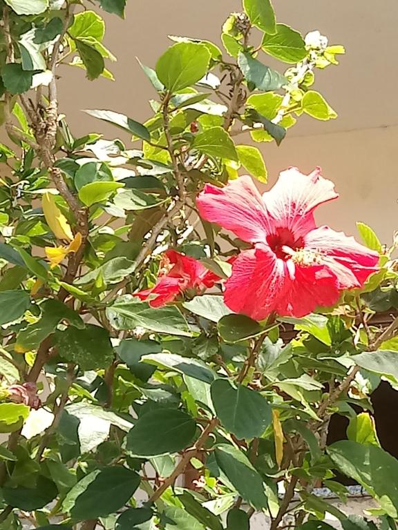  Pousada Cruzeiro dos Anjos