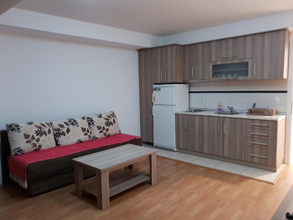 ein Wohnzimmer mit Sofa und eine Küche in der Unterkunft Aleksandra in Ohrid