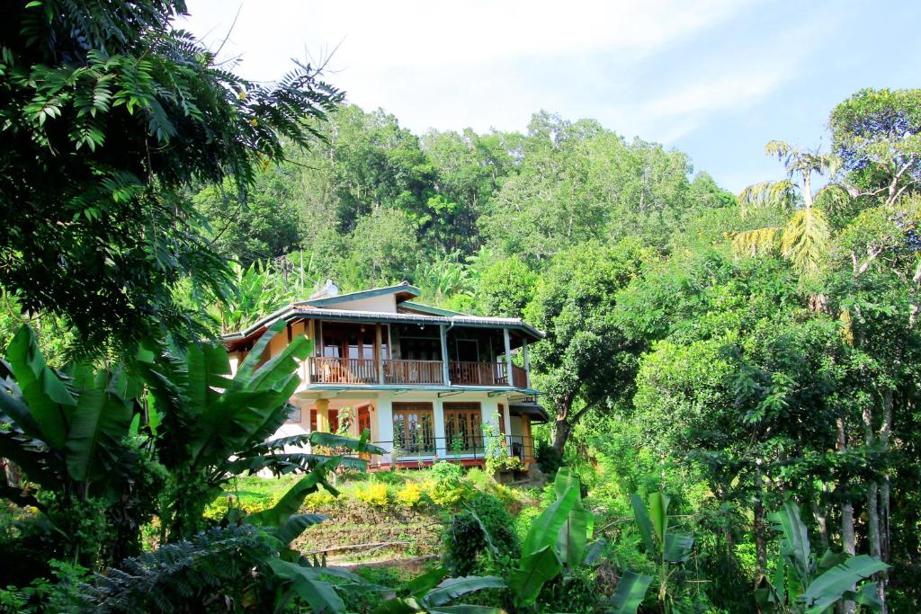 Zahrada ubytování Blue Ribbon Homestay