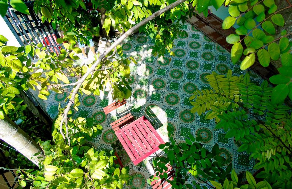 會安的住宿－Xanh Lá Homestay Hội An，挂在树上的红色野餐篮