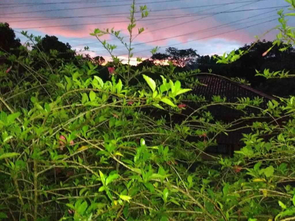  Rios Cristalinos em Guapiaçu