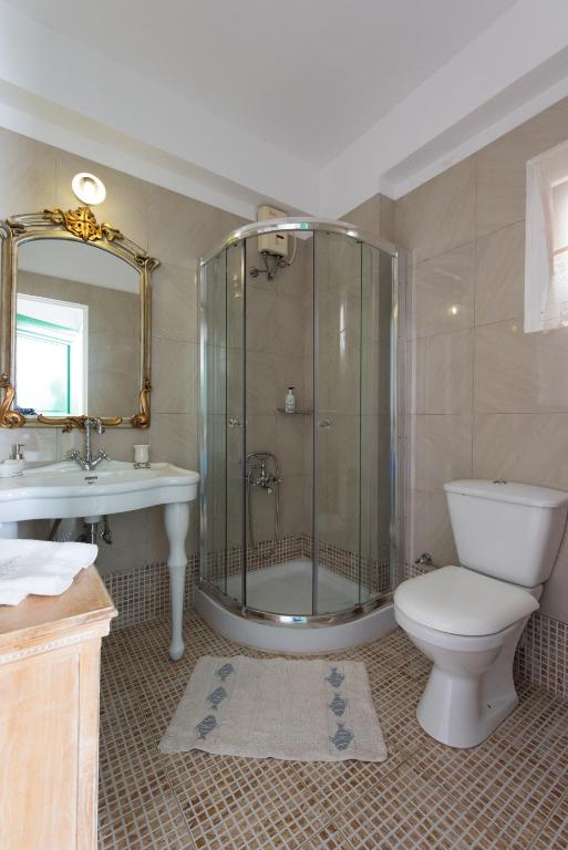 a bathroom with a shower and a toilet and a sink at Villa Areto in Kamares