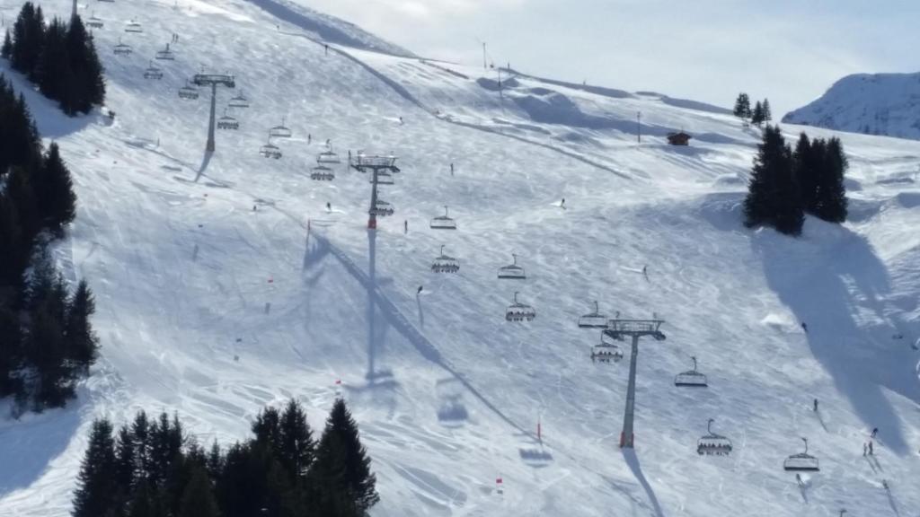 LES RHODOS 1 v zimě