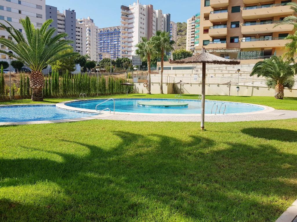 A piscina localizada em Oasys Creek Apartment ou nos arredores