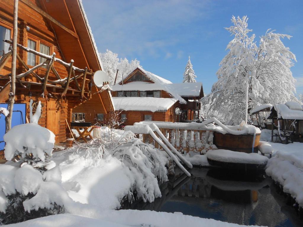 Під Горбком during the winter