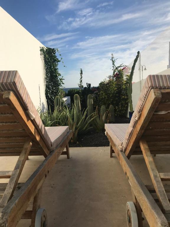 プンタ・ムヘーレスにあるJUREL, cómodo estudio junto al marの木製のベンチ2台(植物のあるパティオに座る)