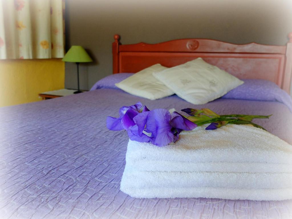 Postel nebo postele na pokoji v ubytování Mas Violella allotjament rural