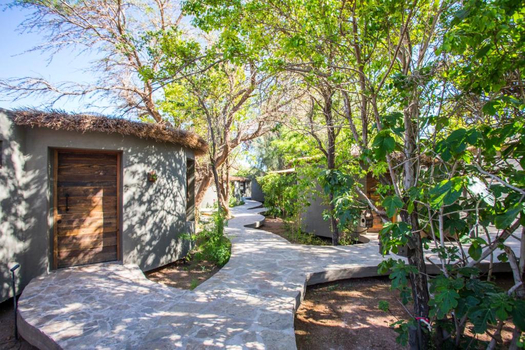 Um jardim no exterior de Hotel Desertica