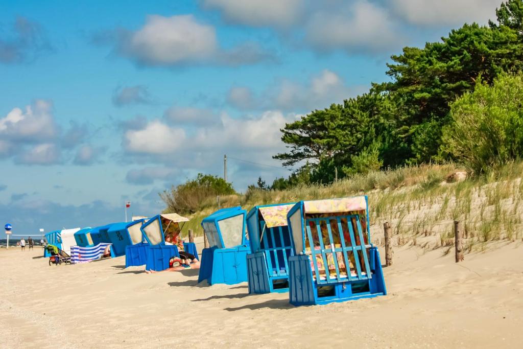 a row of blue beach huts on the beach at Ferienwohnung Möwe mit Balkon und einem Strandkorb im Sommer in Zempin