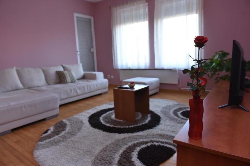 a living room with a couch and a table at Promenada apartmani in Kruševac