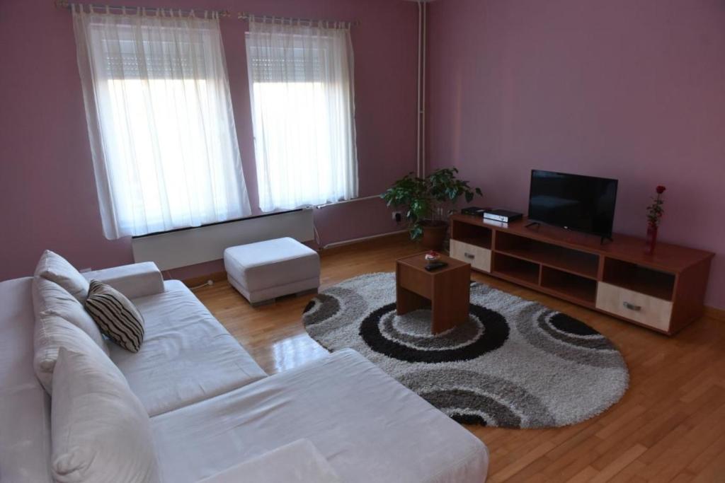 TV a/nebo společenská místnost v ubytování Promenada apartmani