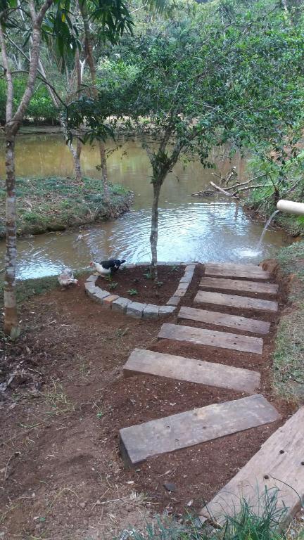  Sitio Camundongo