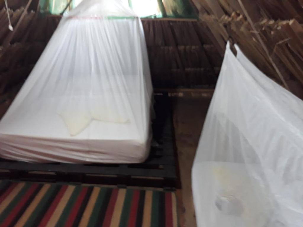 Letto o letti in una camera di Hostel Cattleya