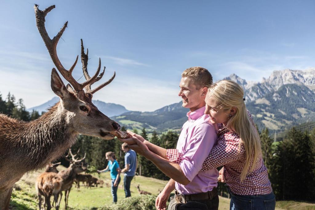 Fotografia z galérie ubytovania Gasteg Living v destinácii Maria Alm am Steinernen Meer